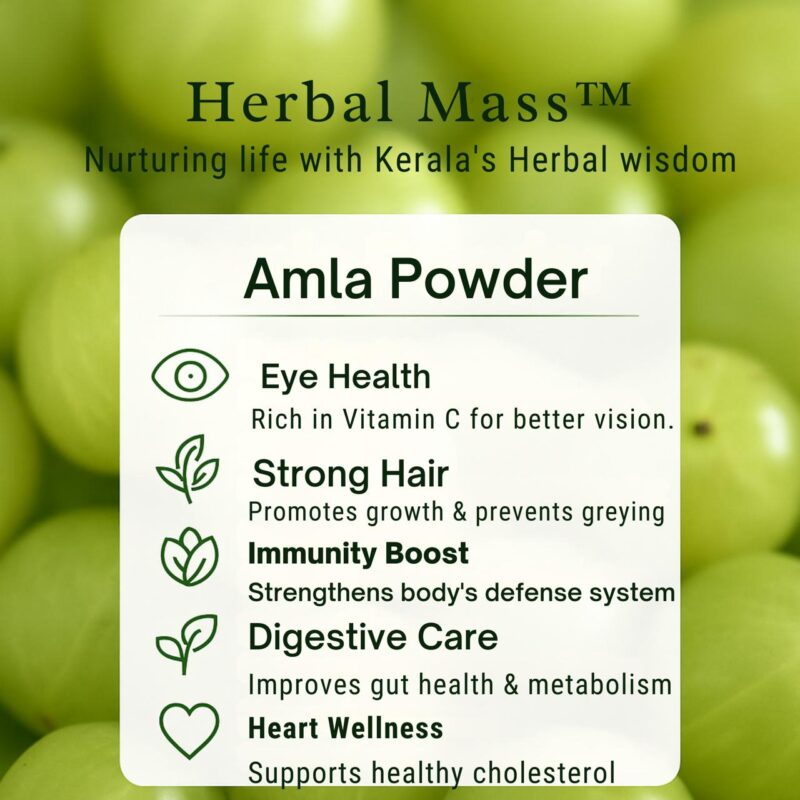 Amla Powder - Image 5