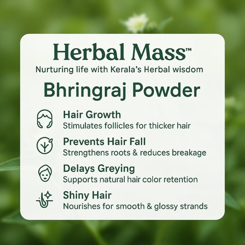 Bhringraj Powder - Image 3
