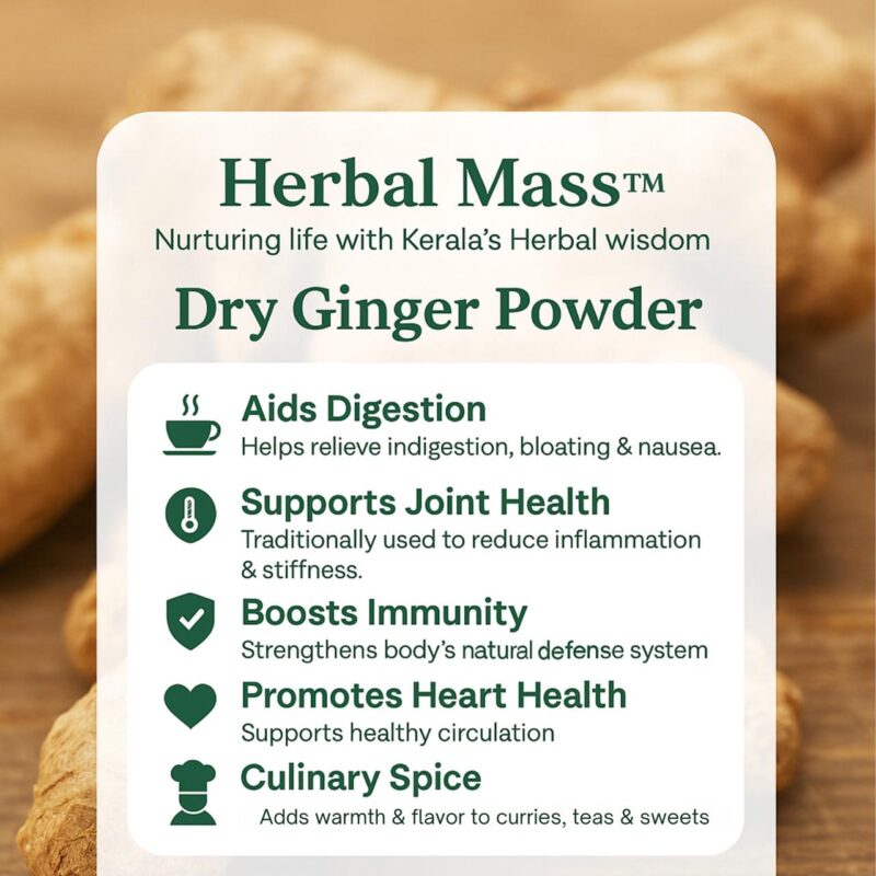 Dry Ginger Powder - Image 3